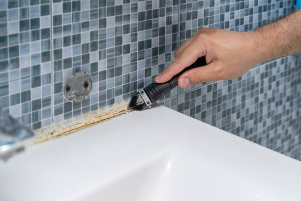 Best Residential Mold Remediation in Harper Woods, MI
