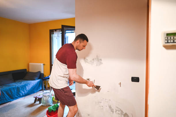 Best Residential Mold Remediation in Harper Woods, MI